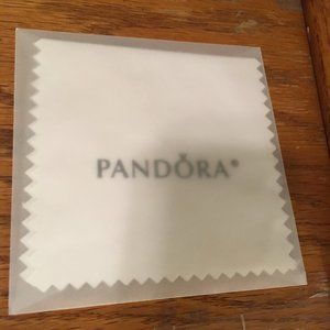 Pandora Cleaning Cloths {5}